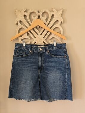 Levi's Jean Shorts Size 10